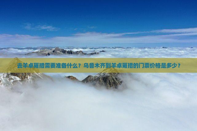 去羊卓雍措需要准备什么？乌鲁木齐到羊卓雍措的门票价格是多少？
