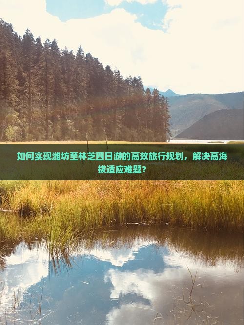 如何实现潍坊至林芝四日游的高效旅行规划，解决高海拔适应难题？