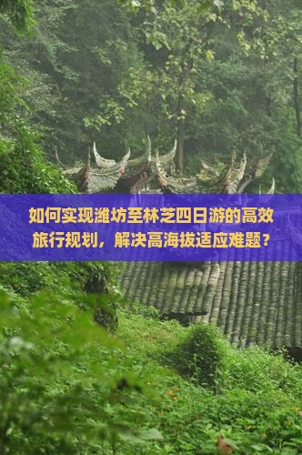 如何实现潍坊至林芝四日游的高效旅行规划，解决高海拔适应难题？