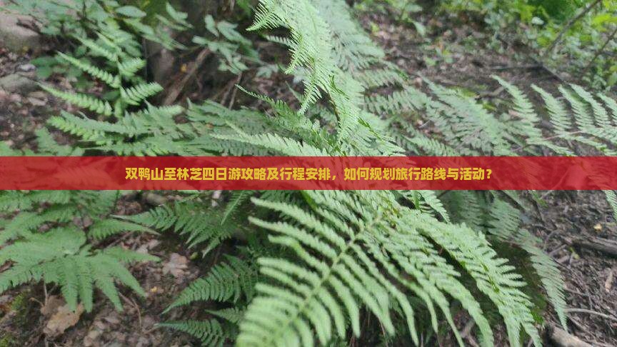 双鸭山至林芝四日游攻略及行程安排，如何规划旅行路线与活动？