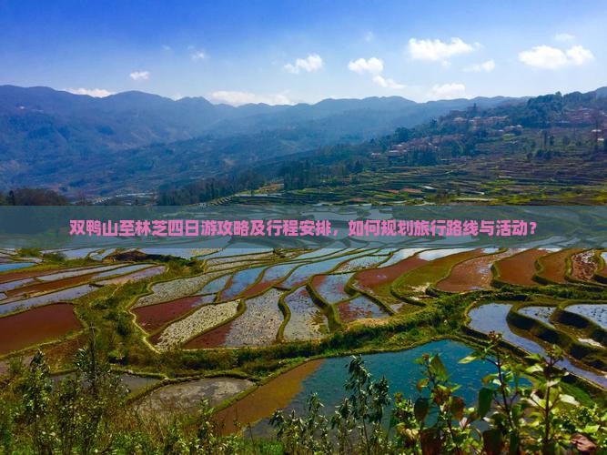 双鸭山至林芝四日游攻略及行程安排，如何规划旅行路线与活动？
