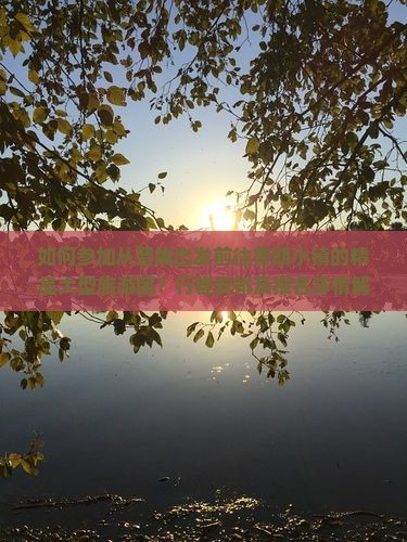 如何参加从晋城出发前往鲁朗小镇的精品大型旅游团？行程安排及报名详情解析