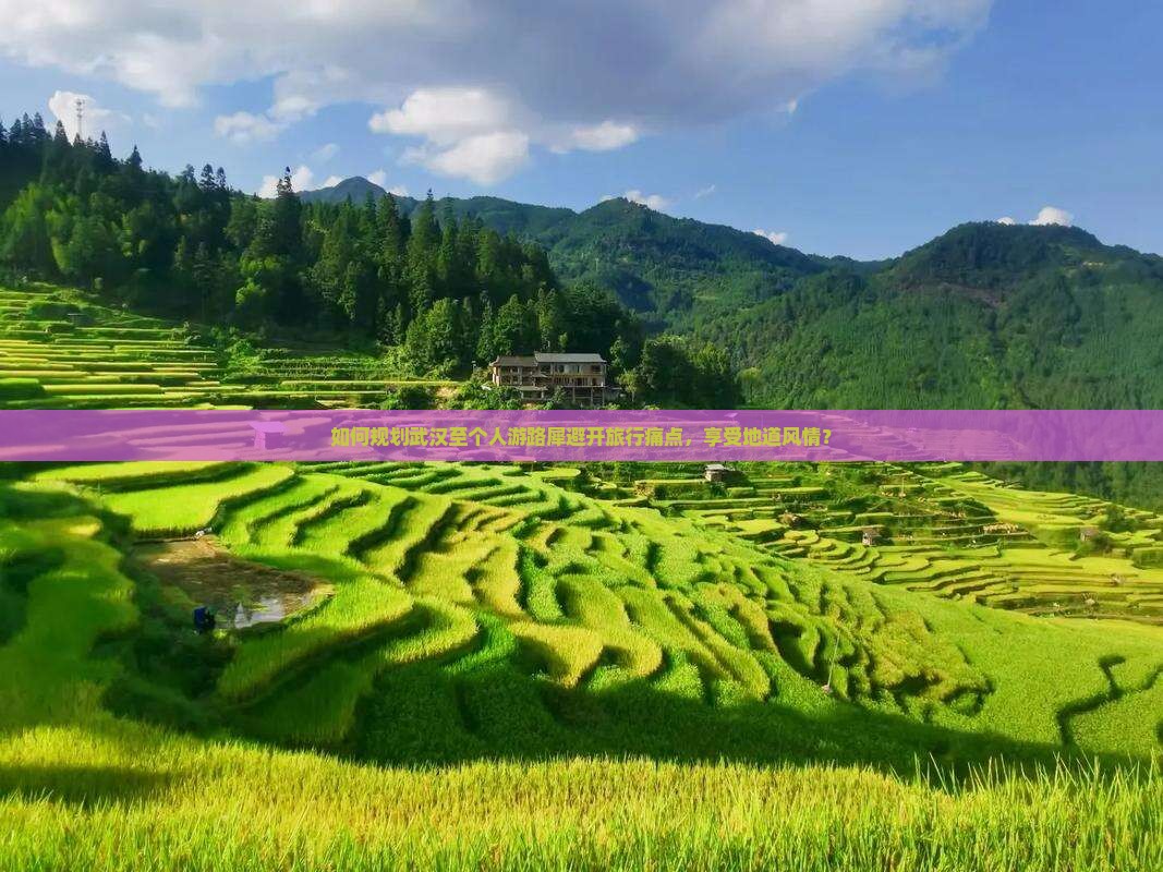 如何规划武汉至个人游路犀避开旅行痛点，享受地道风情？