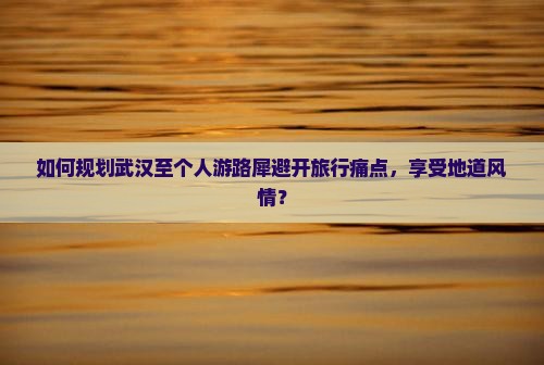 如何规划武汉至个人游路犀避开旅行痛点，享受地道风情？
