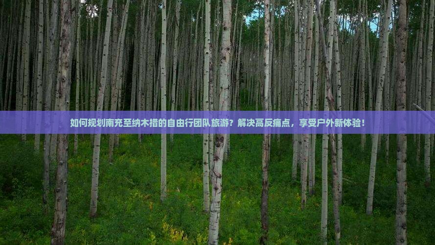 如何规划南充至纳木措的自由行团队旅游？解决高反痛点，享受户外新体验！