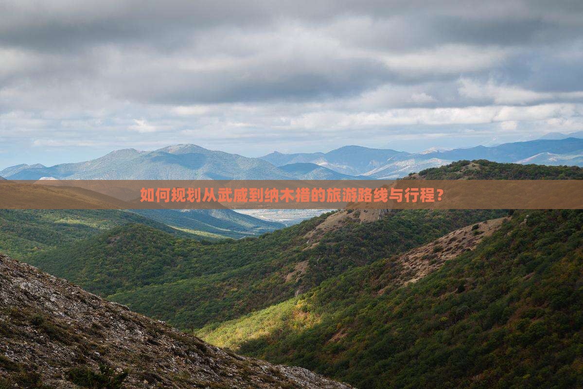 如何规划从武威到纳木措的旅游路线与行程？