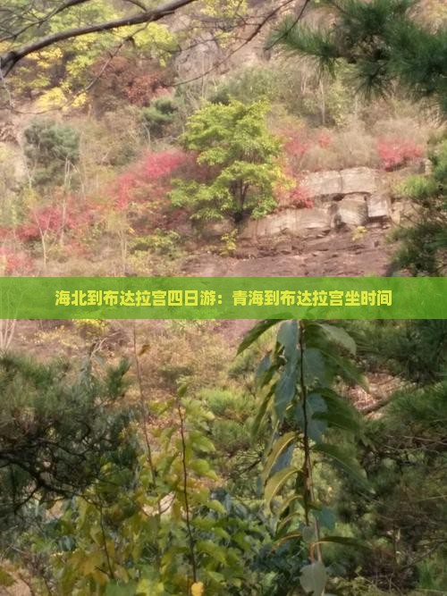 海北到布达拉宫四日游:青海到布达拉宫坐时间 海北到布达拉宫四日游:青海到布达拉宫坐时间