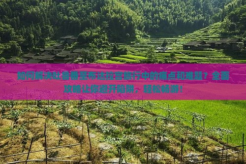 如何解决吐鲁番至布达拉宫旅行中的痛点和难题？全面攻略让你避开陷阱，轻松畅游！