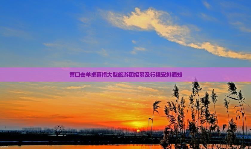 营口去羊卓雍措大型旅游团招募及行程安排通知