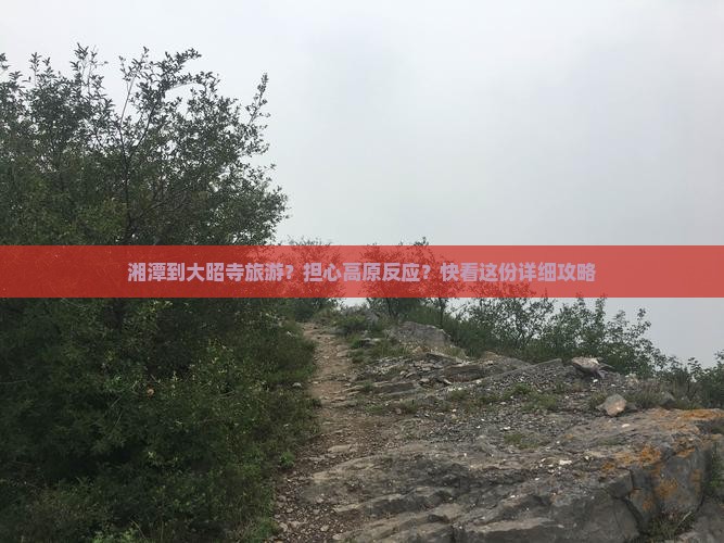 湘潭到大昭寺旅游？担心高原反应？快看这份详细攻略