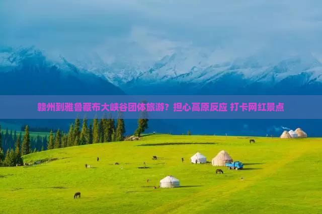 赣州到雅鲁藏布大峡谷团体旅游？担心高原反应+打卡网红景点