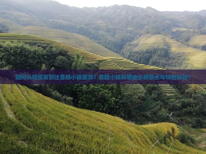 如何从哈闽发前往鲁朗小镇旅游？鲁朗小镇有哪些必游景点与特色体验？