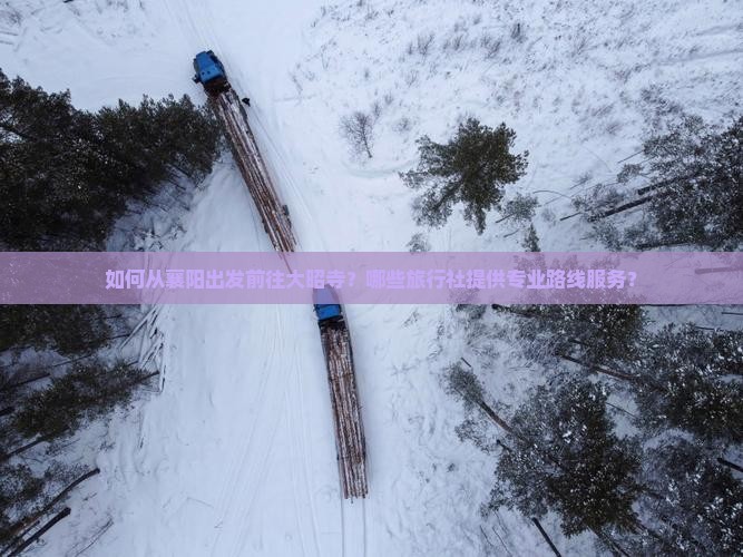 如何从襄阳出发前往大昭寺？哪些旅行社提供专业路线服务？