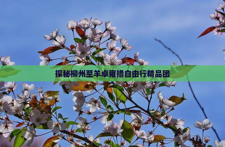 探秘柳州至羊卓雍措自由行精品团