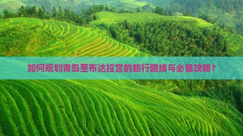 如何规划青岛至布达拉宫的旅行路线与必备攻略？