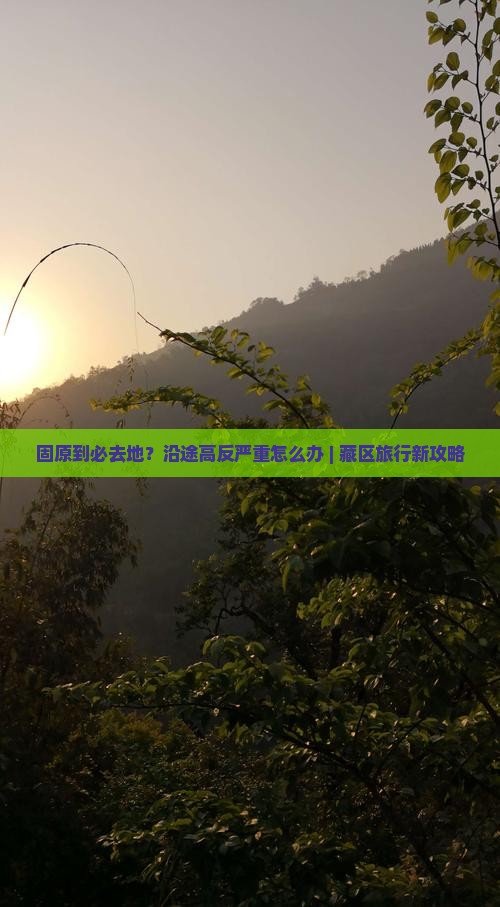 固原到必去地？沿途高反严重怎么办 | 藏区旅行新攻略