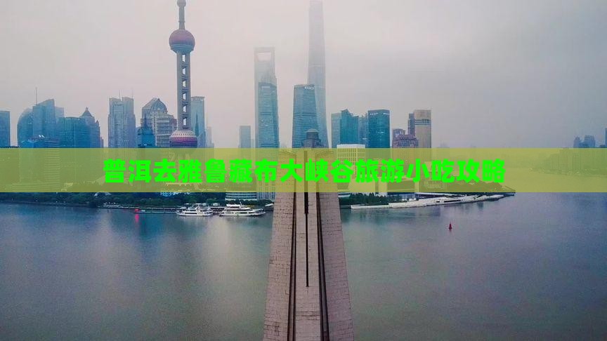 普洱去雅鲁藏布大峡谷旅游小吃攻略