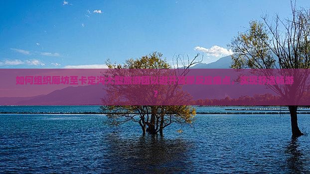 如何组织廊坊至卡定沟大型旅游团以避开高原反应痛点，实现舒适畅游？