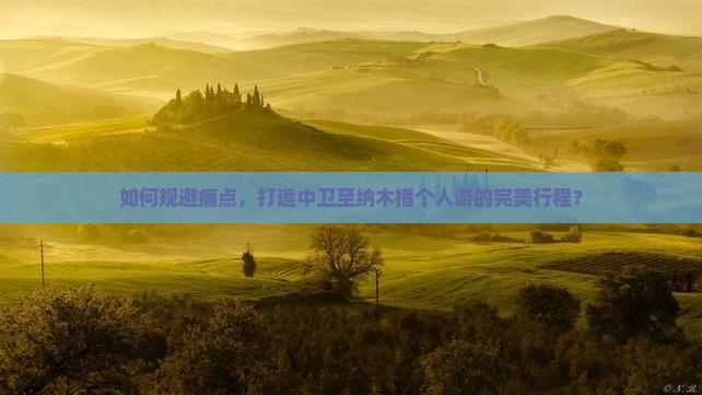 如何规避痛点，打造中卫至纳木措个人游的完美行程？
