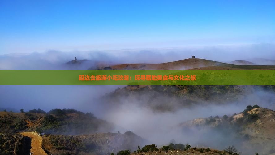 延边去旅游小吃攻略：探寻藏地美食与文化之旅