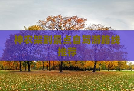 神农架到景点自驾游路线推荐