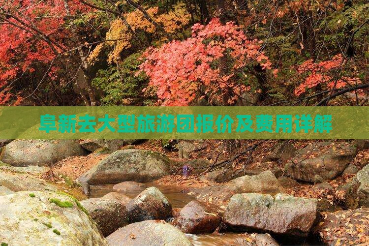 阜新去大型旅游团报价及费用详解