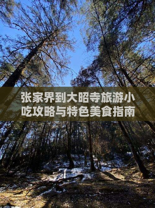 张家界到大昭寺旅游小吃攻略与特色美食指南