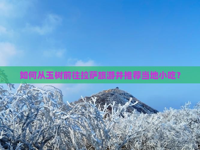 如何从玉树前往拉萨旅游并推荐当地小吃？