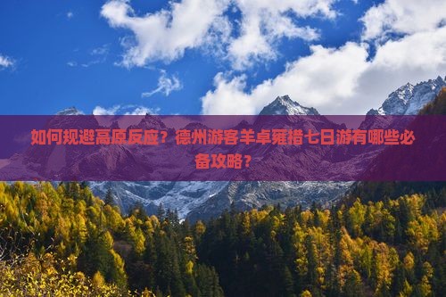 如何规避高原反应？德州游客羊卓雍措七日游有哪些必备攻略？