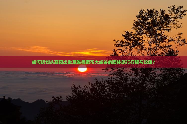 如何规划从襄阳出发至雅鲁藏布大峡谷的团体旅行行程与攻略？