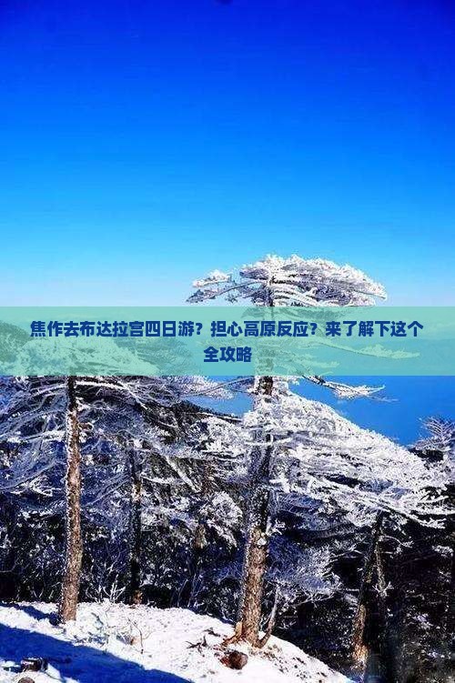 焦作去布达拉宫四日游？担心高原反应？来了解下这个全攻略