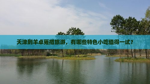 天津到羊卓雍措旅游，有哪些特色小吃值得一试？