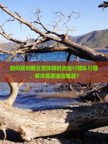 如何规划商丘至珠峰的自由行团队行程，解决高原适应难题？