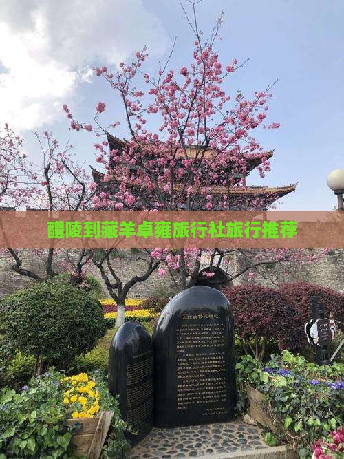 醴陵到藏羊卓雍旅行社旅行推荐