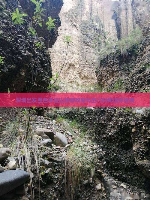 深圳出发至色季拉山旅游攻略与出行时间选择指南