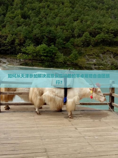如何从天津参加解决高原反应问题的羊卓雍措自由团旅行？
