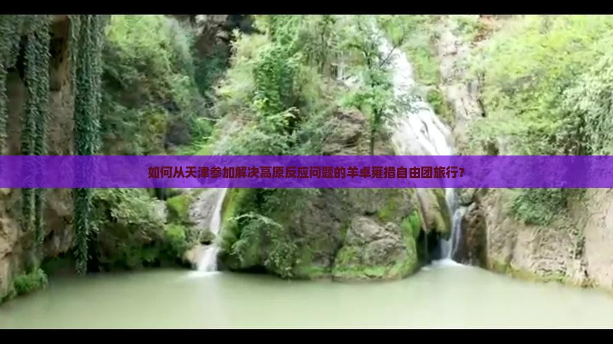 如何从天津参加解决高原反应问题的羊卓雍措自由团旅行？