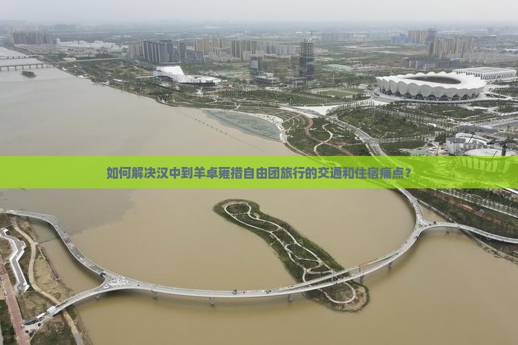 如何解决汉中到羊卓雍措自由团旅行的交通和住宿痛点？