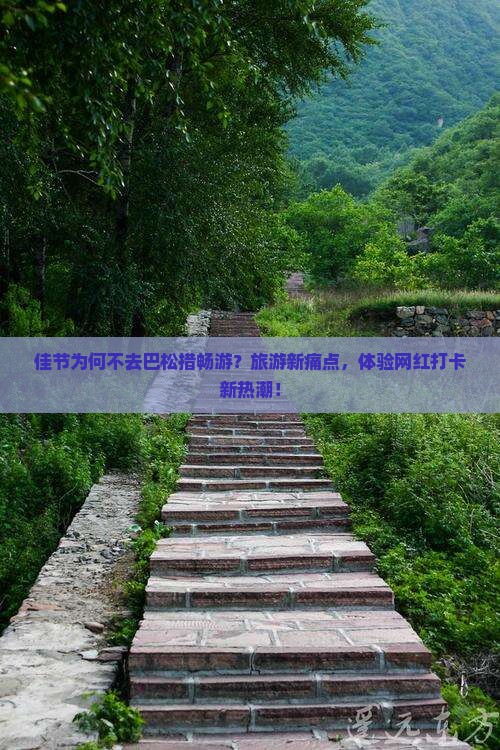 佳节为何不去巴松措畅游？旅游新痛点，体验网红打卡新热潮！