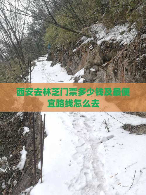 西安去林芝门票多少钱及最便宜路线怎么去