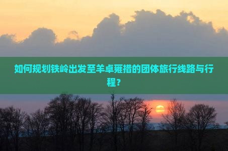 如何规划铁岭出发至羊卓雍措的团体旅行线路与行程？