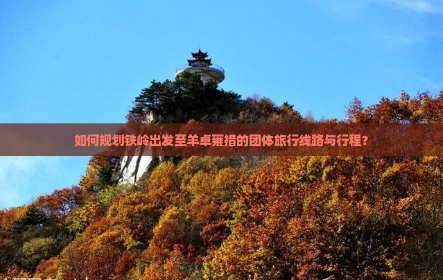 如何规划铁岭出发至羊卓雍措的团体旅行线路与行程？