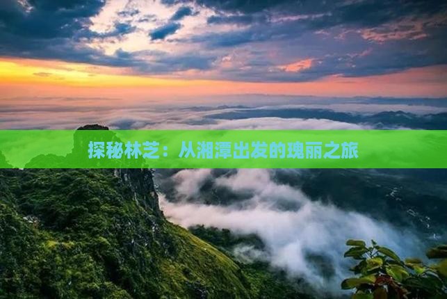 探秘林芝：从湘潭出发的瑰丽之旅
