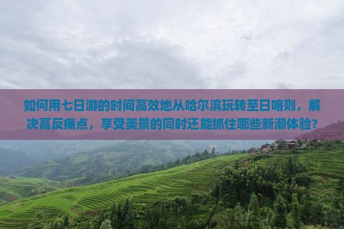 如何用七日游的时间高效地从哈尔滨玩转至日喀则，解决高反痛点，享受美景的同时还能抓住哪些新潮体验？