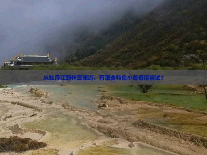 从牡丹江到林芝旅游，有哪些特色小吃值得尝试？