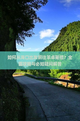 如何从海口出发前往羊卓雍措？全面攻略与必知疑问解答