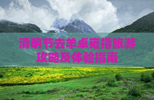 清明节去羊卓雍措旅游攻略及体验指南