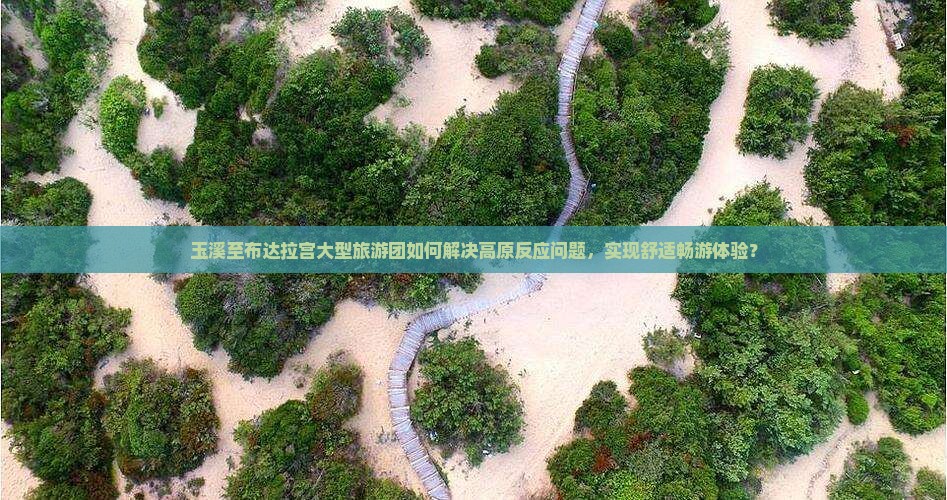 玉溪至布达拉宫大型旅游团如何解决高原反应问题,实现舒适畅游体验? 玉溪至布达拉宫大型旅游团如何解决高原反应问题,实现舒适畅游体验?