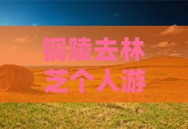 铜陵去林芝个人游：自驾高铁距离总览