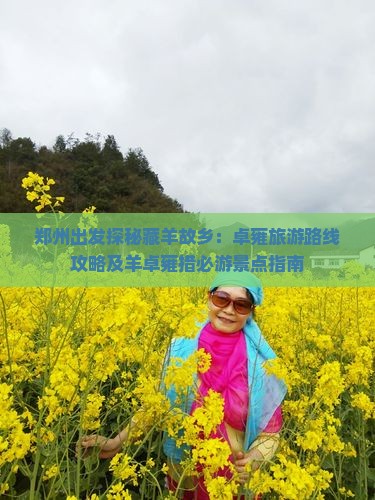 郑州出发探秘藏羊故乡：卓雍旅游路线攻略及羊卓雍措必游景点指南